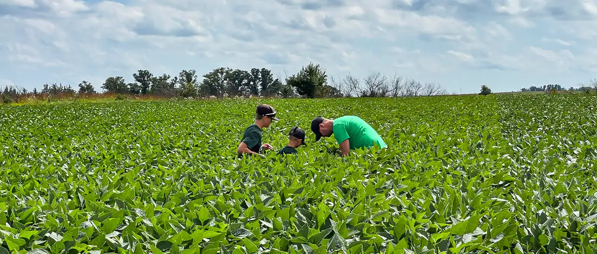 Farmers inspecting soybean plants in a field on a sunny day, representing crop growth and precision agriculture.