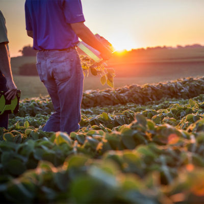 Nutrient Management Plans