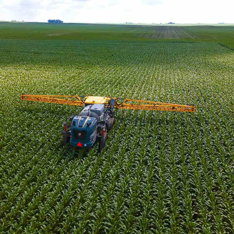 Fertilizer 20210629 COR Corn Latimer Iowa 0069