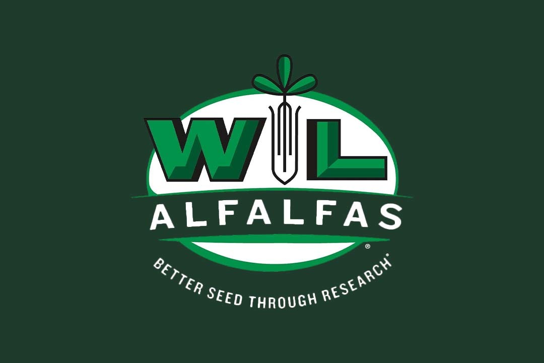 Seed Concepts | W L Alfalfas