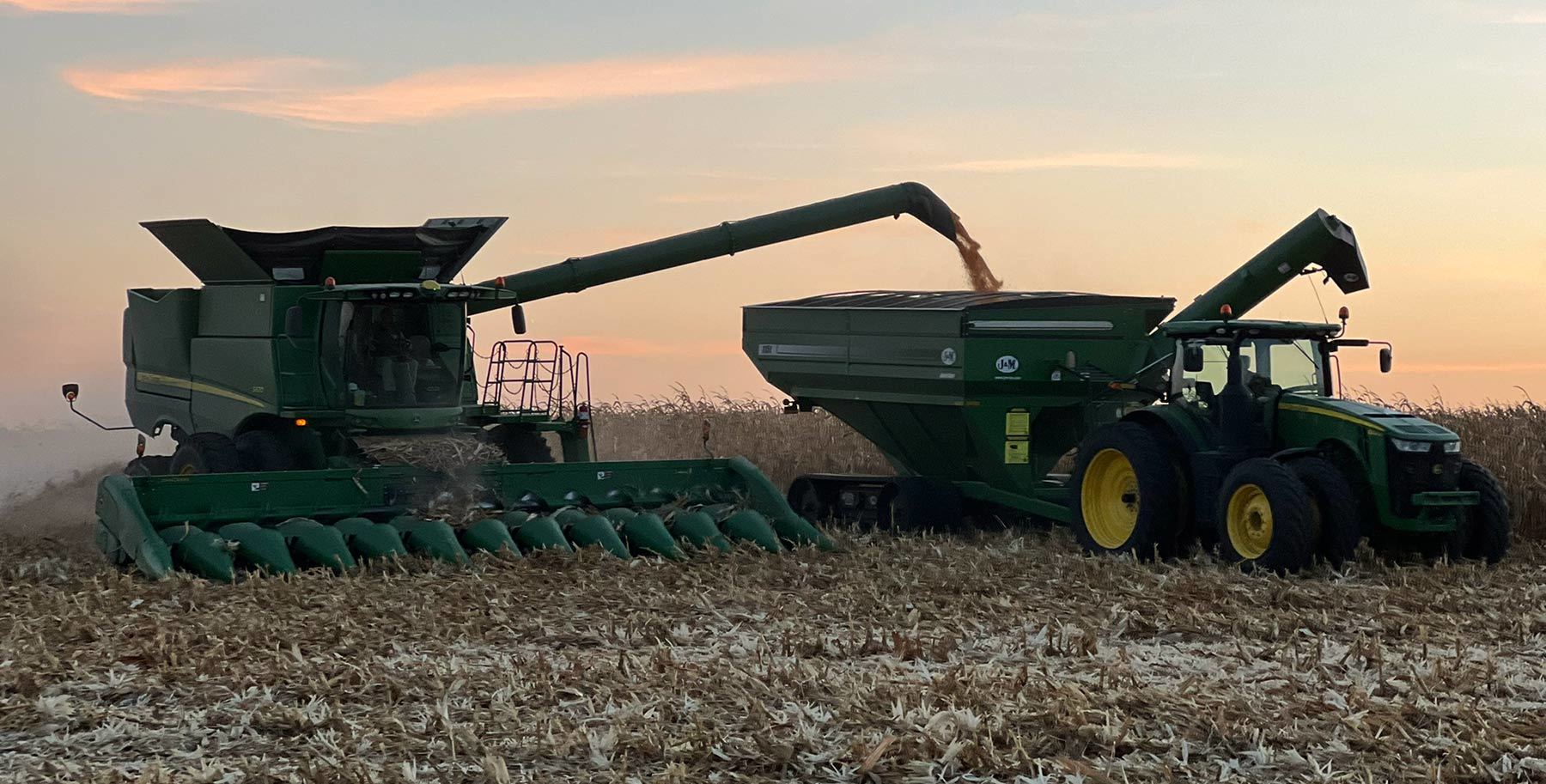 harvest at dusk