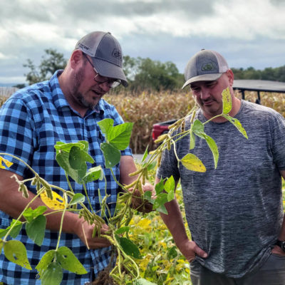 Crop Scouting