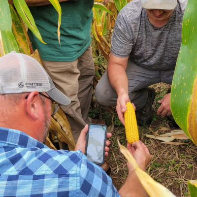 Yield Mapping