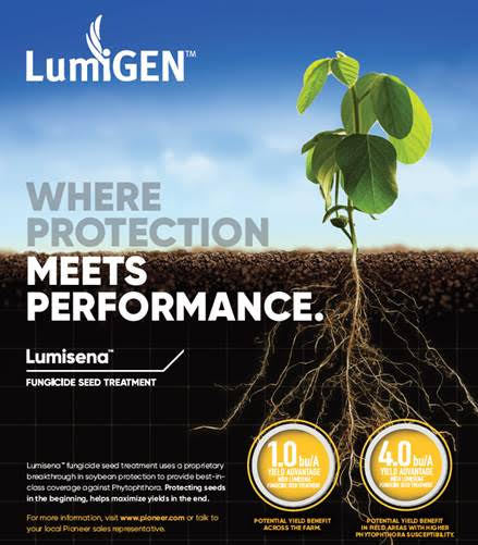 SOUTH 89 LUMIGEN SOYBEAN SEED TREATMENT Image 2