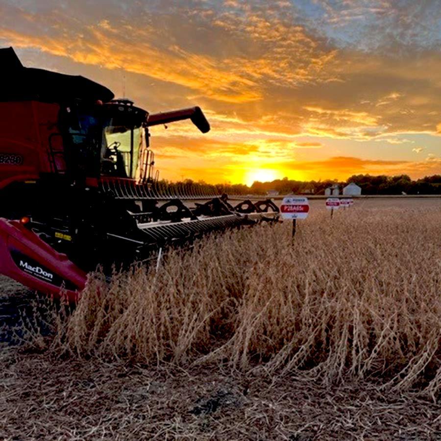 Inset Harvest Spain plot