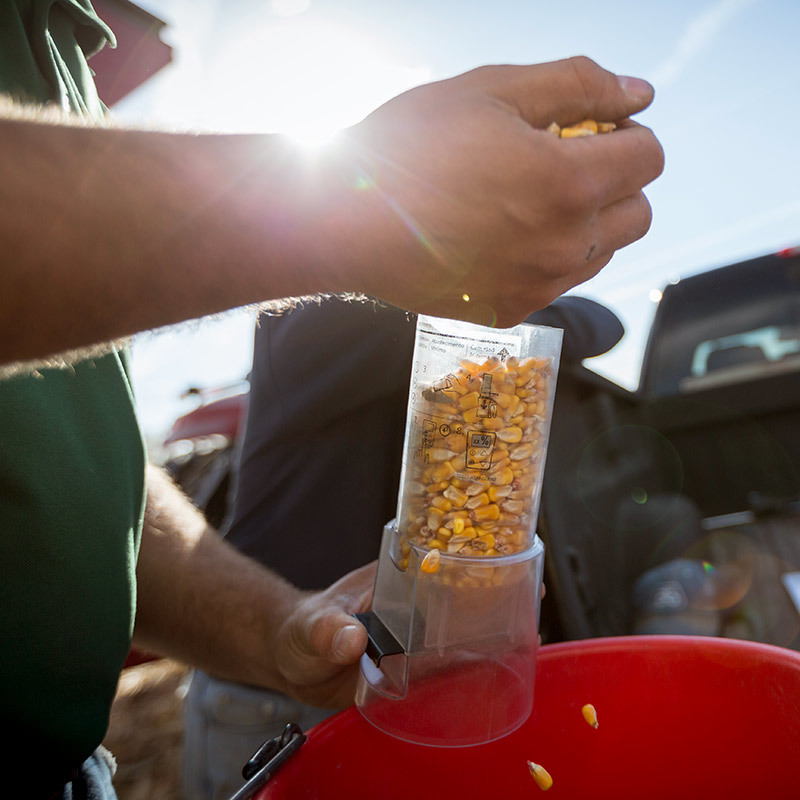 Yield Corn Harvest Minnesota C0295