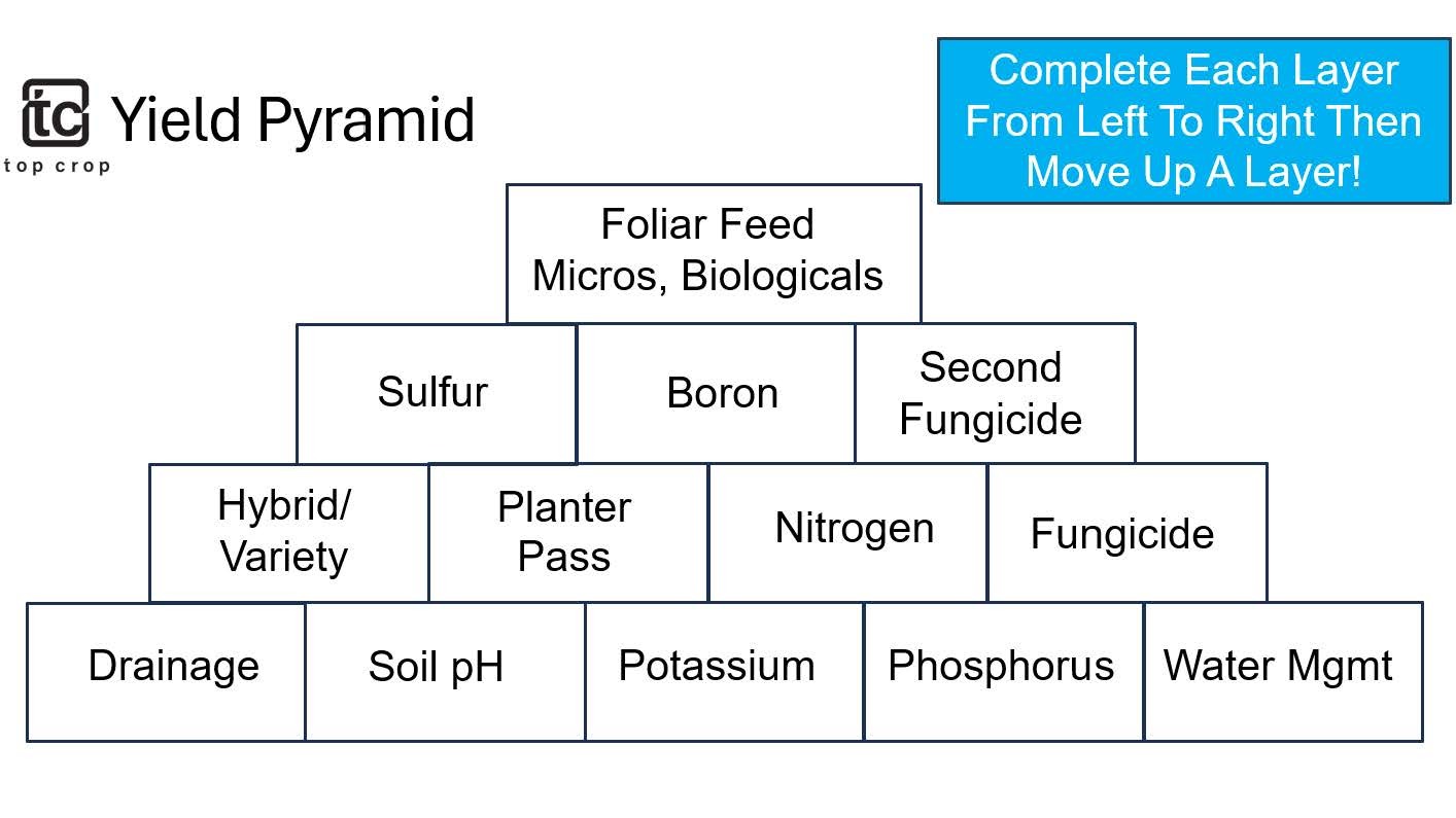 Top Crop Yield Pyramid