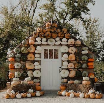 House at Rose Farm covered in pumpkins