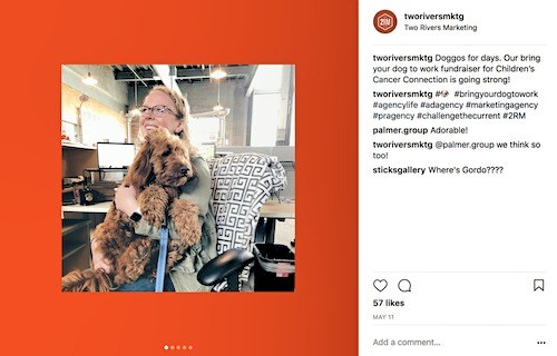 Screen grab of Two Rivers Marketing instagram post of associate holding dog for bring your dog to work month