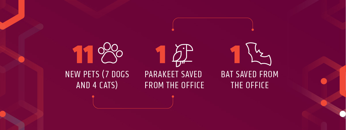 In 2023, 2RM associates adopted 11 new pets – 7 dogs and 4 cats. 2RM also saved 1 parakeet and 1 bat from the office.