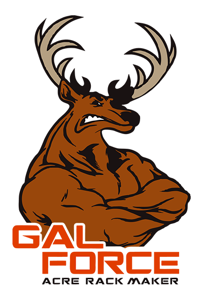 Gal force logo 72dpi