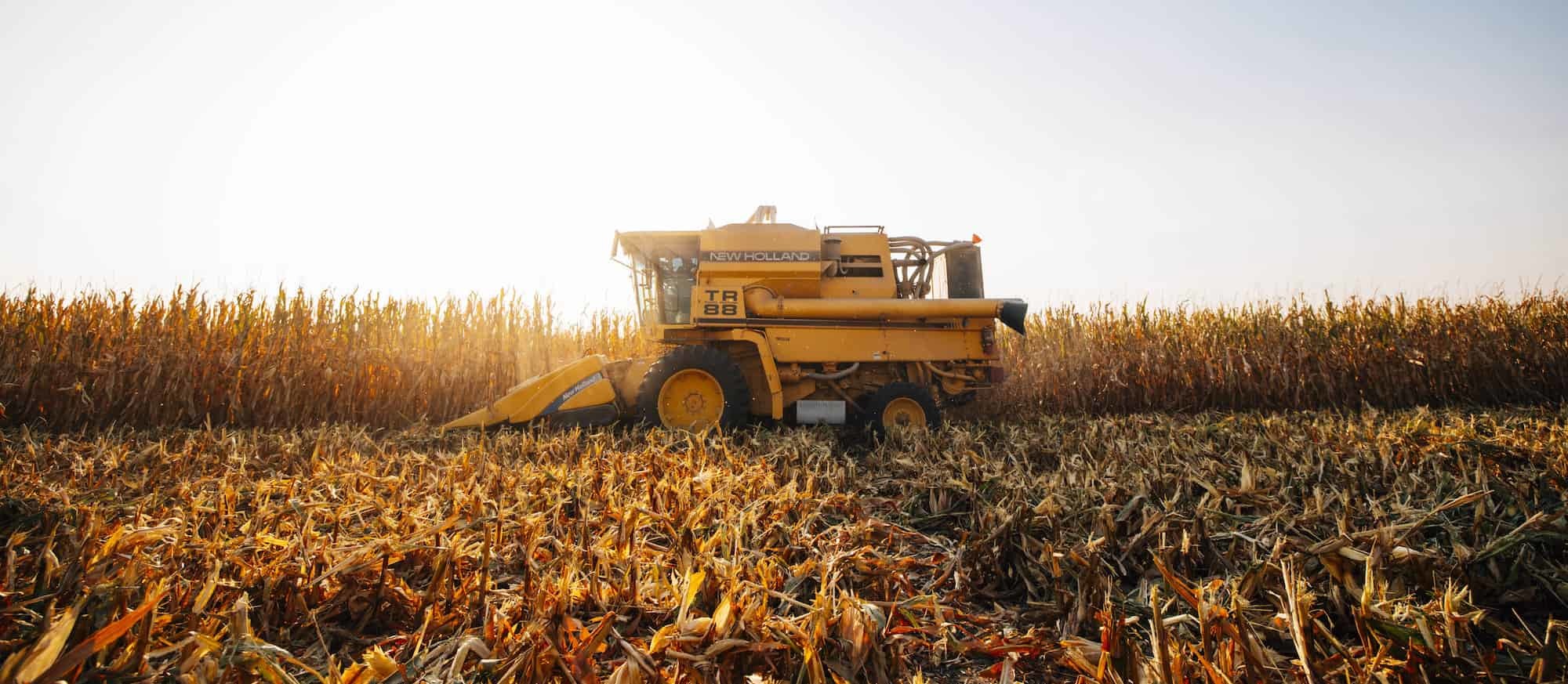 20201007 COR Corn Harvest York Nebraska 0014