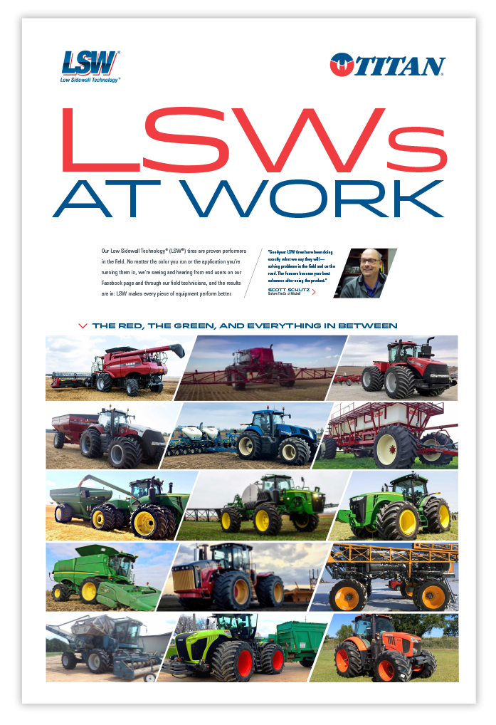LSW poster