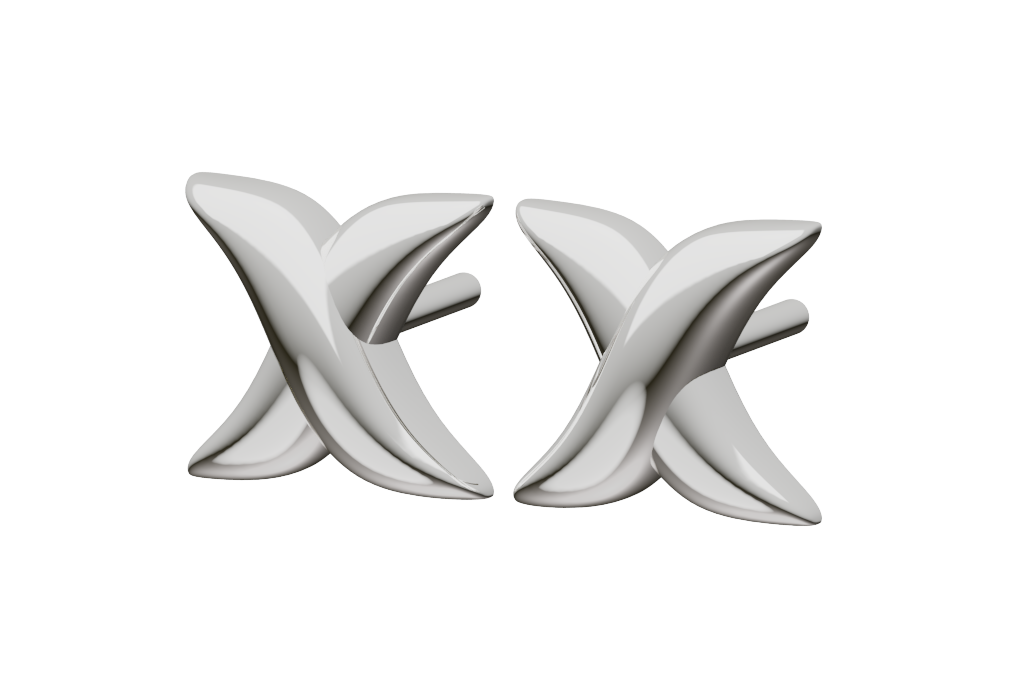 X-form Earrings