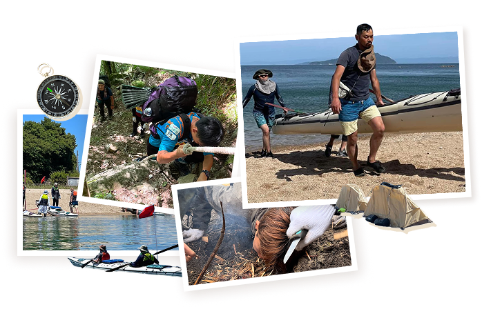 研修コラージュ画像