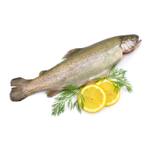 Whole Rainbow Trout