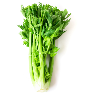 Celery - org.