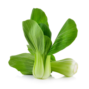 Bébé Bok Choy bio