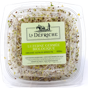 Alfalfa Sprouts - org.