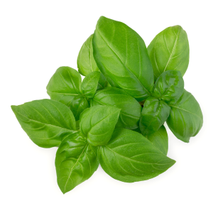 Basil - org.