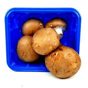 Brown Mushrooms - org.