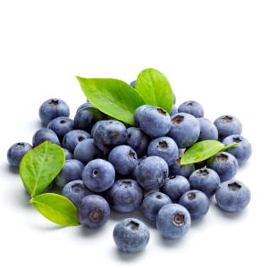 Blueberries - org.