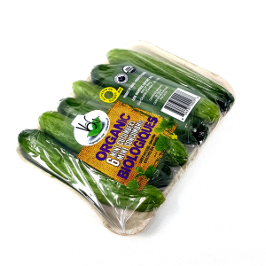 Lebanese cucumber bio