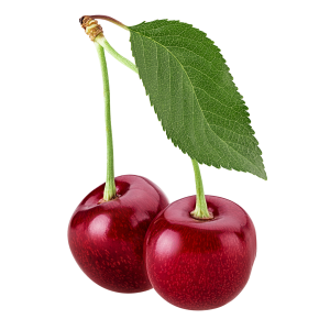 Cerises Rouges bio