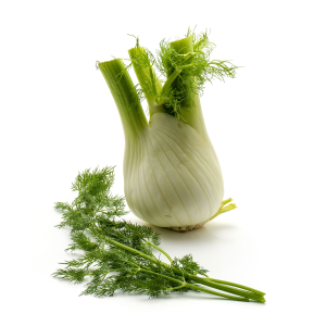 Fennel - org.