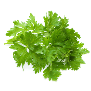 Italian Parsley - org.