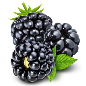 Blackberries - org.