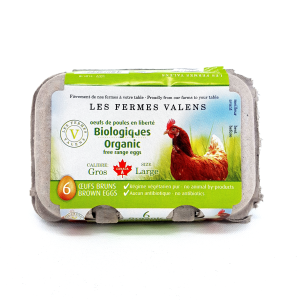 Oeufs - Gros - Poules en Liberté - bio