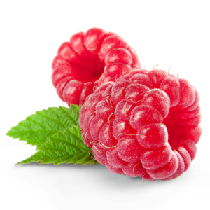 Framboises bio