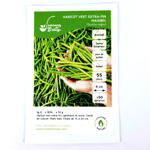 Extra-Fine Green Bean Seeds Maxibel - org.