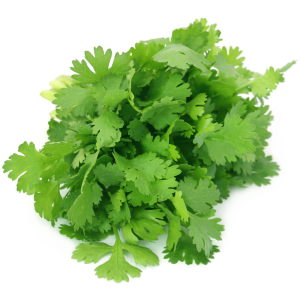 Coriander - org.