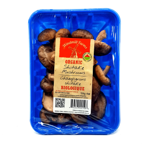 Champignon Shiitake bio