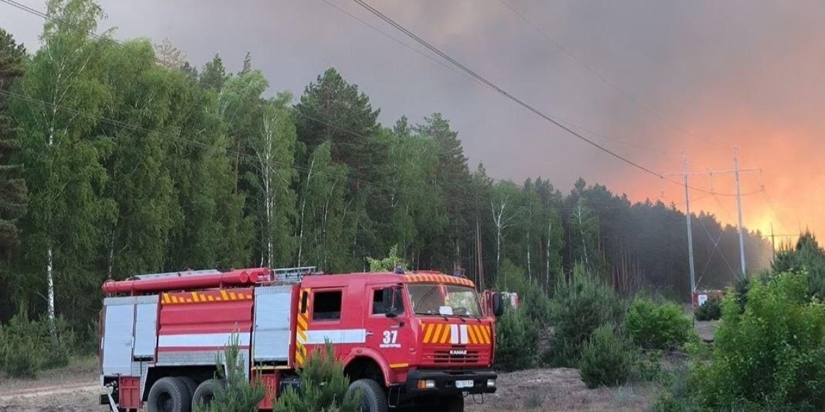 Велику лісову пожежу біля Києва локалізували