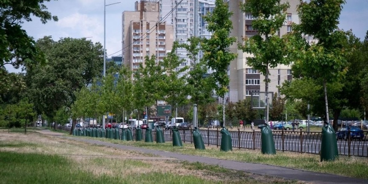 У парках та скверах Києва встановлюють мішки для поливу дерев: як вони виглядають