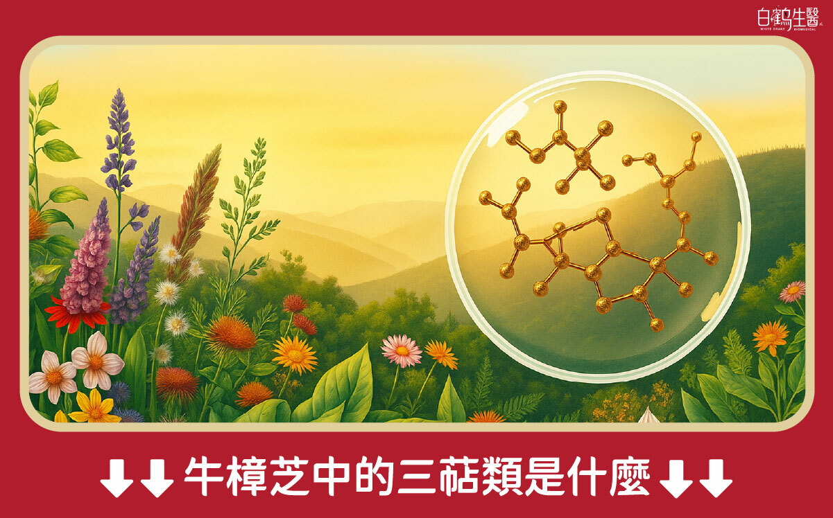 三萜類是什麼