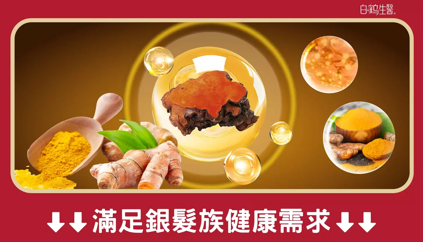 保健食品專家展示 牛樟芝功效 的獨特之處
