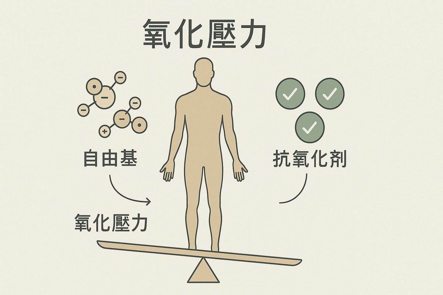 自由基是什麼
