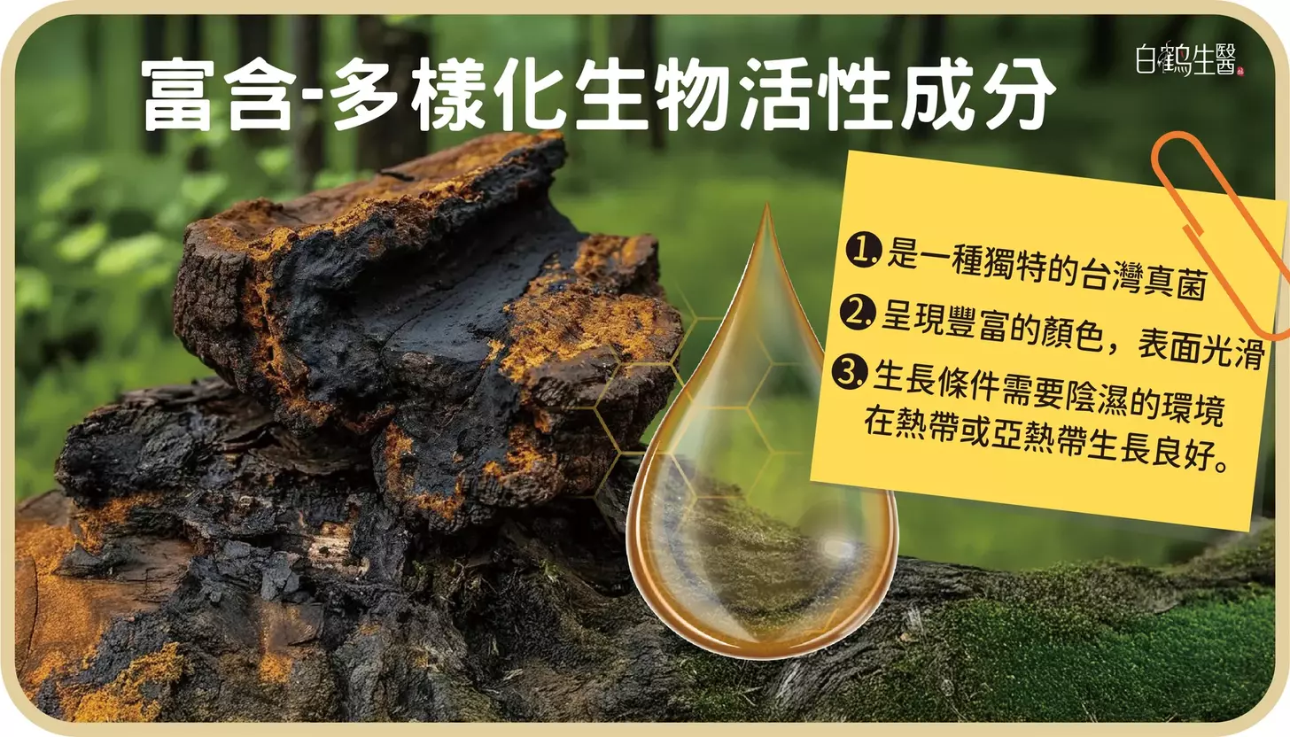 牛樟芝膠囊功效 的詳細圖表解說