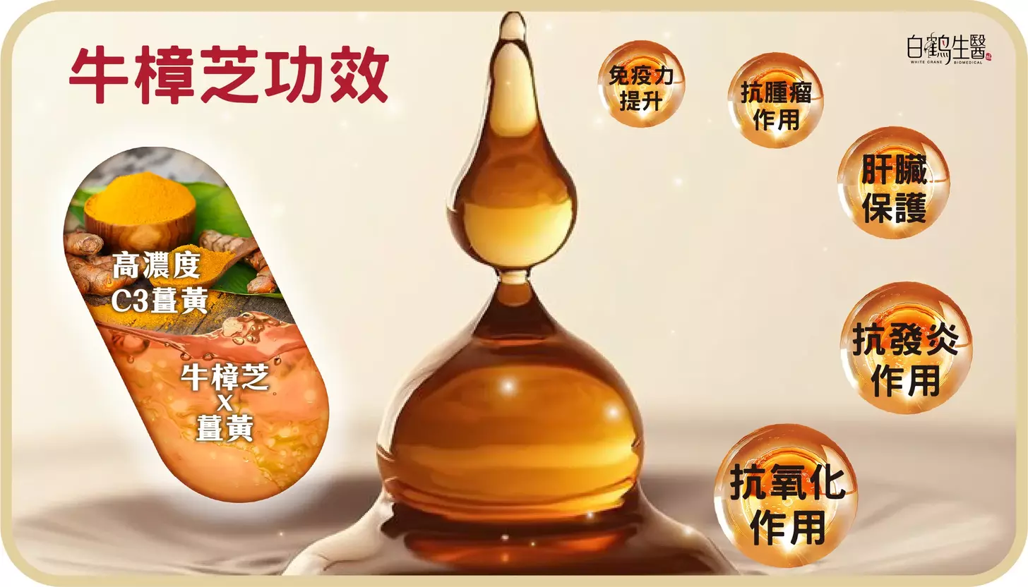牛樟芝功效 的 科學根據及實際使用案例