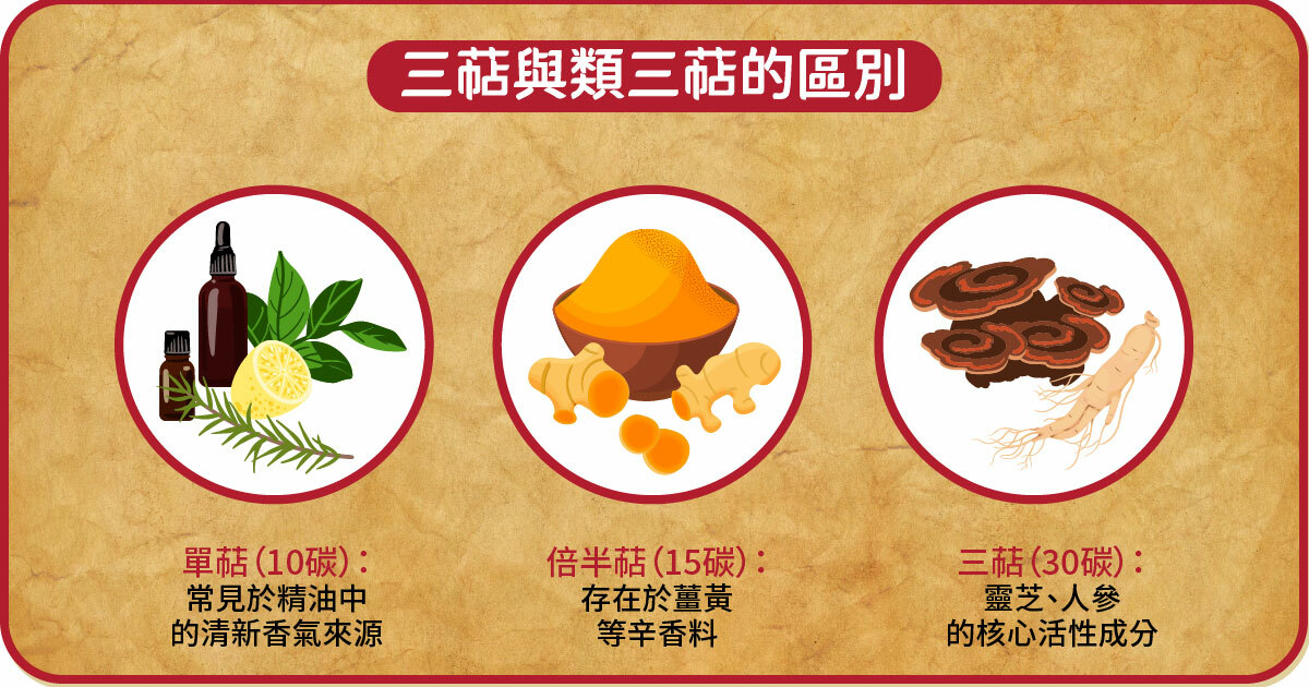 三萜與類三萜的區別