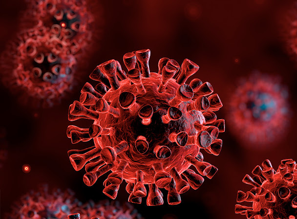 Corona Virus Impact