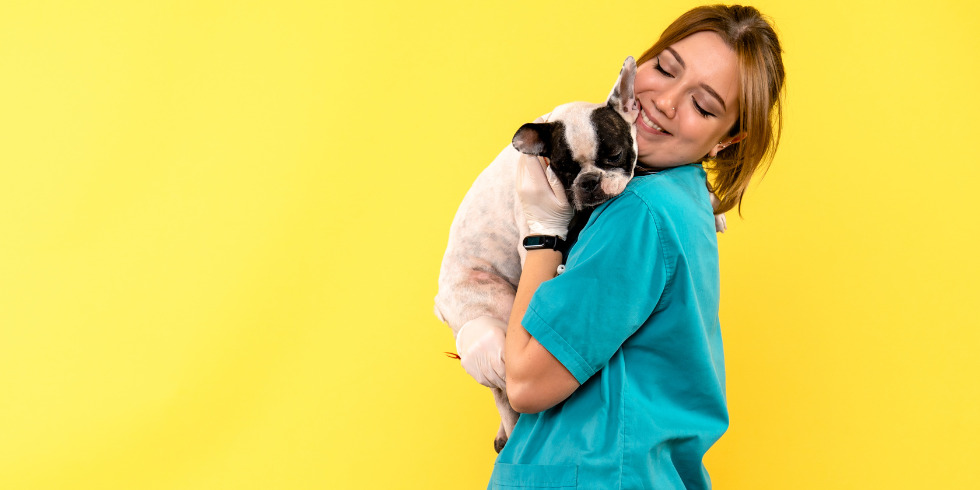 pet-shop-em-vila-velha-es