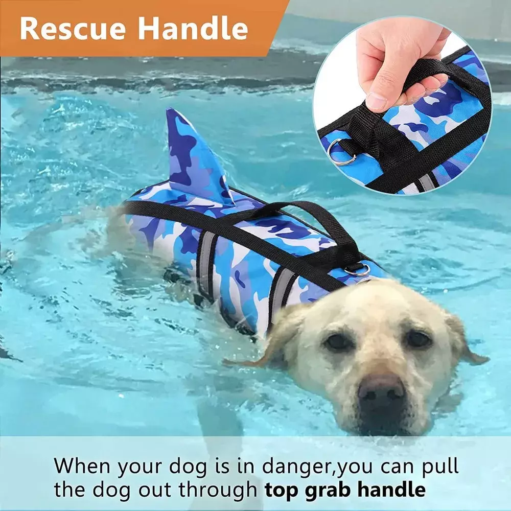 Perro con chaleco salvavidas de aleta de tiburón en una piscina durante el verano