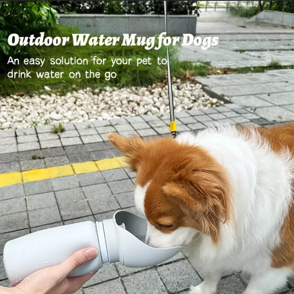 Dispensador de agua plegable para mascotas en uso en un parque de verano