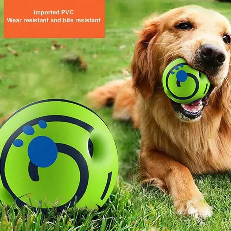 Pelota luminosa y alegre para perros con la que se juega durante el verano