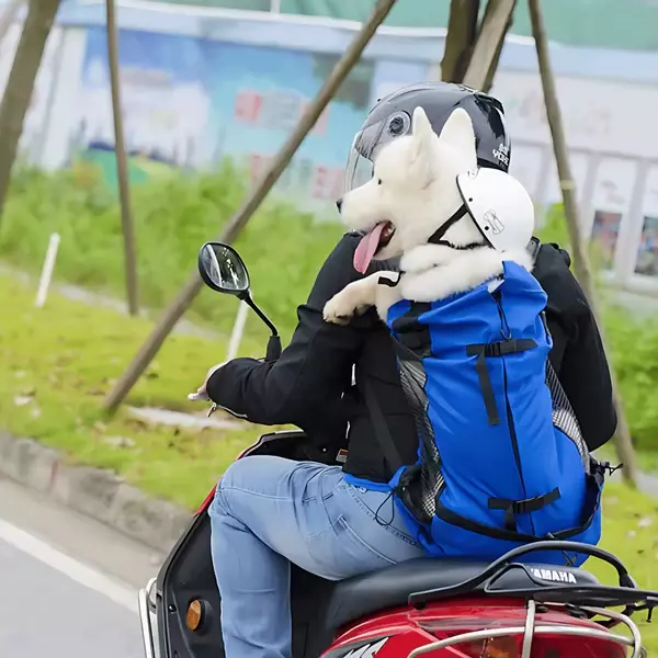 Mochila de viaje para perros de aventura